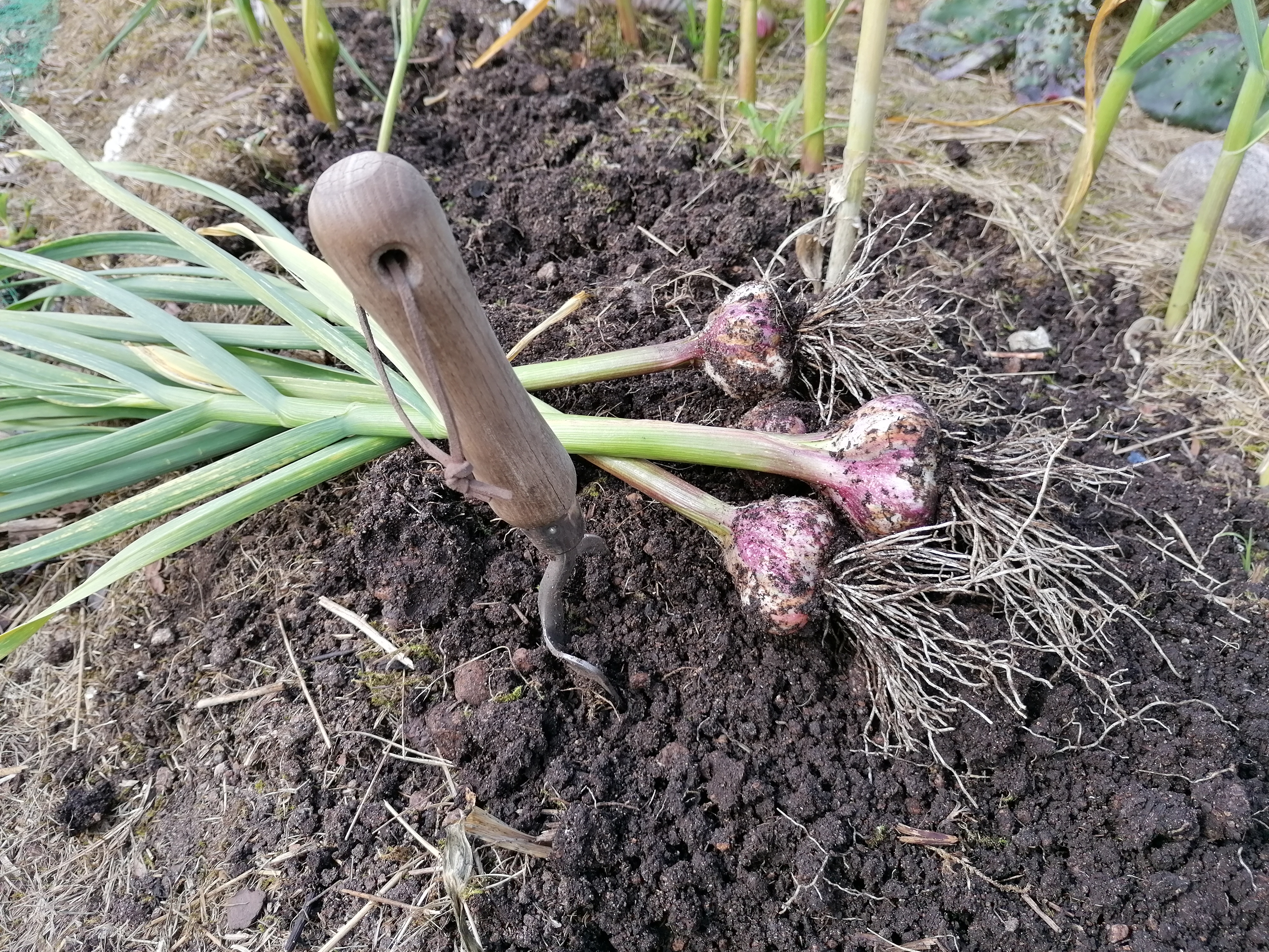 {indexbilde:description}