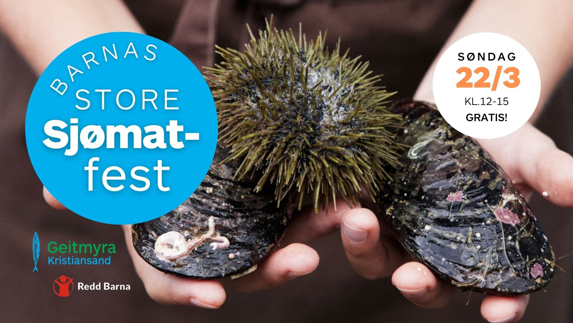 {indexbilde:description}