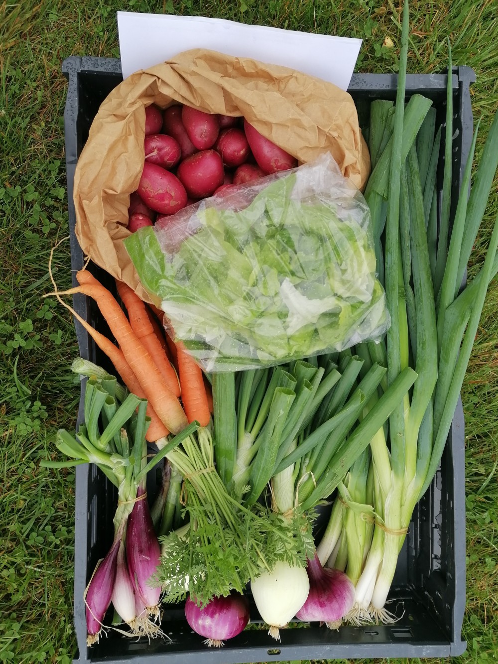 Ferske grønnsaker i kasse