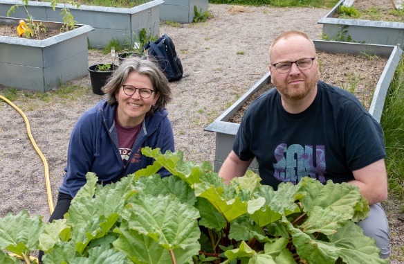 Liv Birkeland og Sigurd Schaathun med rabarbra i skolehagen på Mosby
