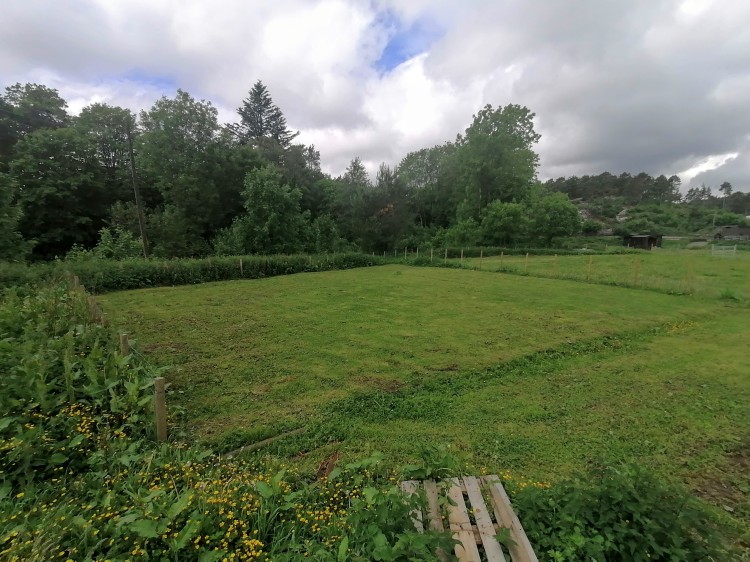 Jordet på Jegersberg før vi la på svart plast. 30. mai 2024.