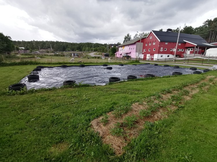 Framtidas grønnsaksareal på Jegersberg 4 juli 2024
